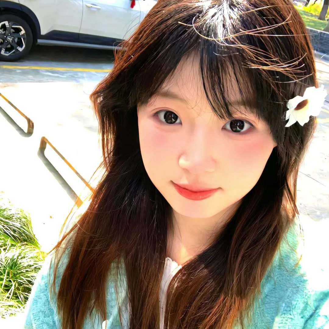 恋琴痴凤